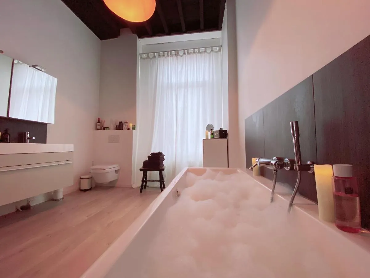 Loco Paradiso - Two Kingsize Beds, Outdoor Terrace, Dj Booth, Bar, Cinema, Bathtub, Kitchen, Airco Antwerpen